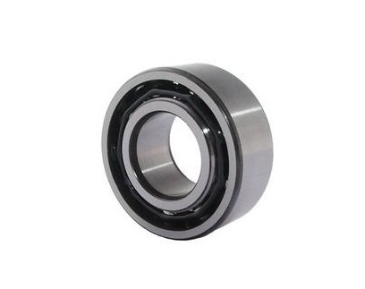 Double Row Deep Groove Ball Bearing